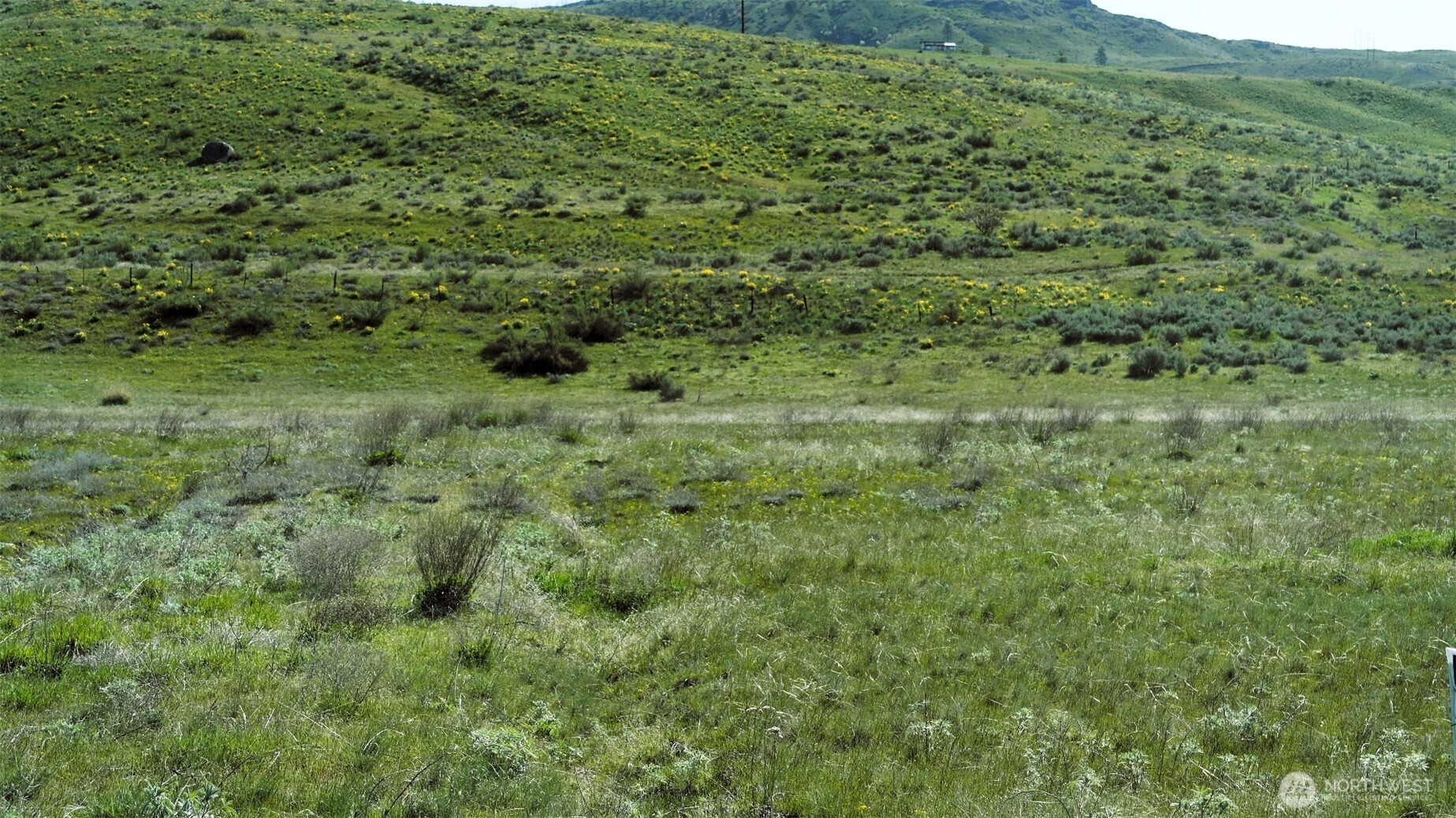 4 Brook Trout Lane , Methow, WA 98834