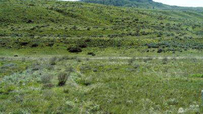 4 Brook Trout Lane , Methow, WA 98834 - Photo 21
