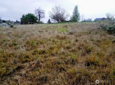 222 Kenwood Street , Omak, WA 98841 - Photo 13