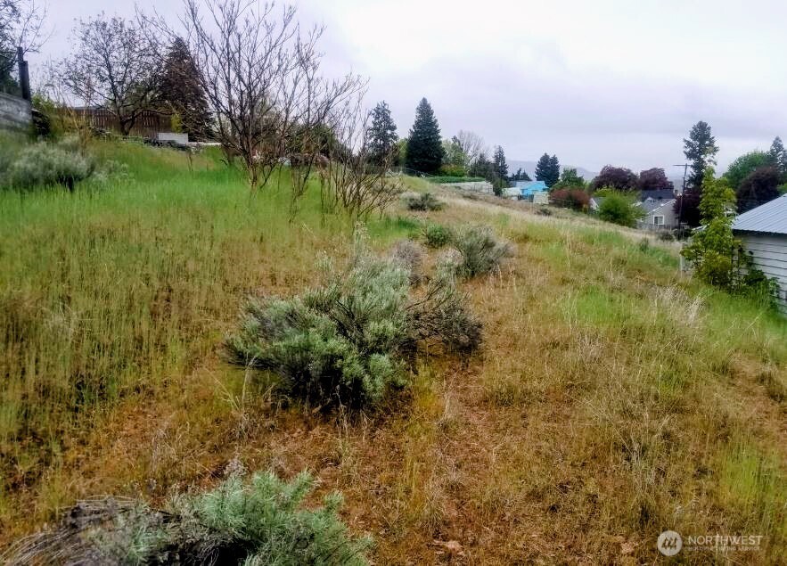 222 Kenwood Street , Omak, WA 98841