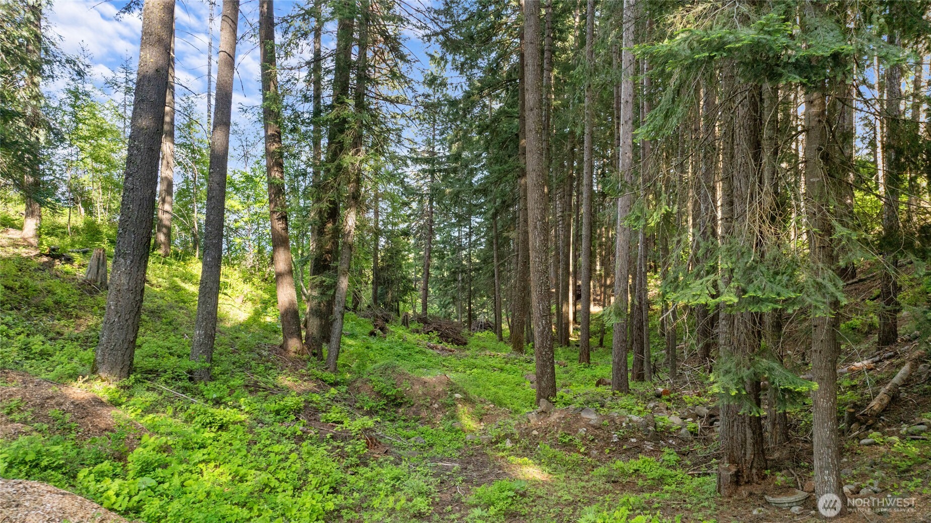 1380 Oakmont Drive , Cle Elum, WA 98922