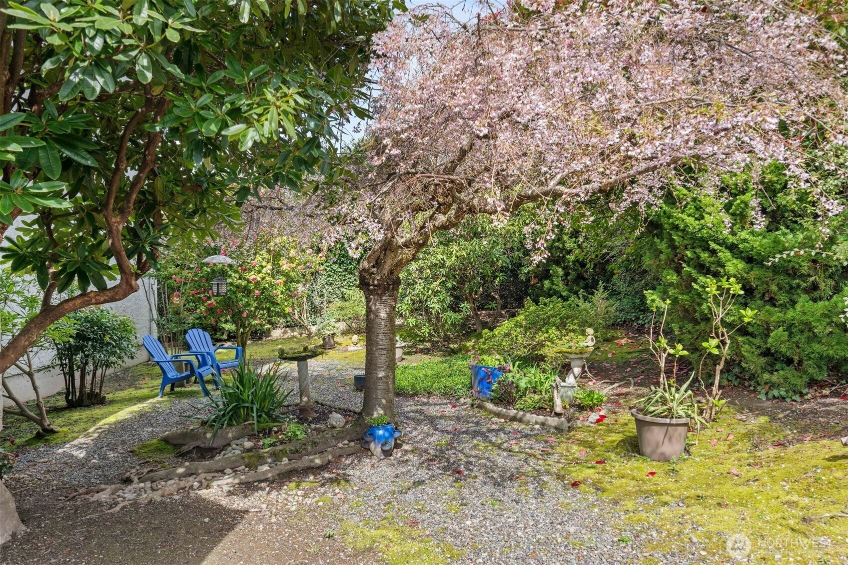 217 Alder Street #101, Edmonds, WA 98020