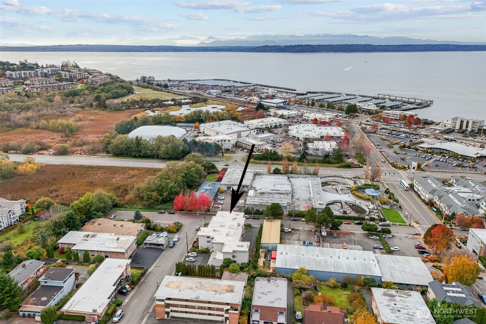 217 Alder Street #101, Edmonds, WA 98020