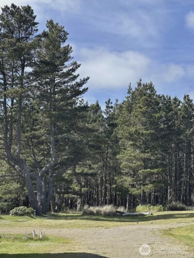 1911 Ocean Beach Boulevard S, Long Beach, WA 98631 - Photo 26