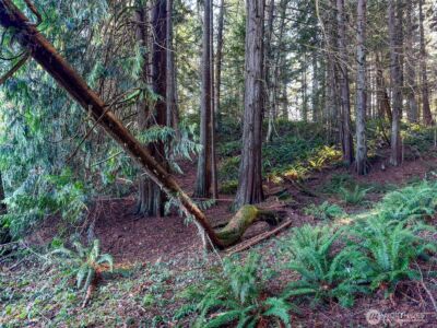 5662 Center Road , Chimacum, WA 98325 - Photo 11