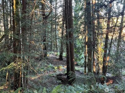 5662 Center Road , Chimacum, WA 98325 - Photo 12