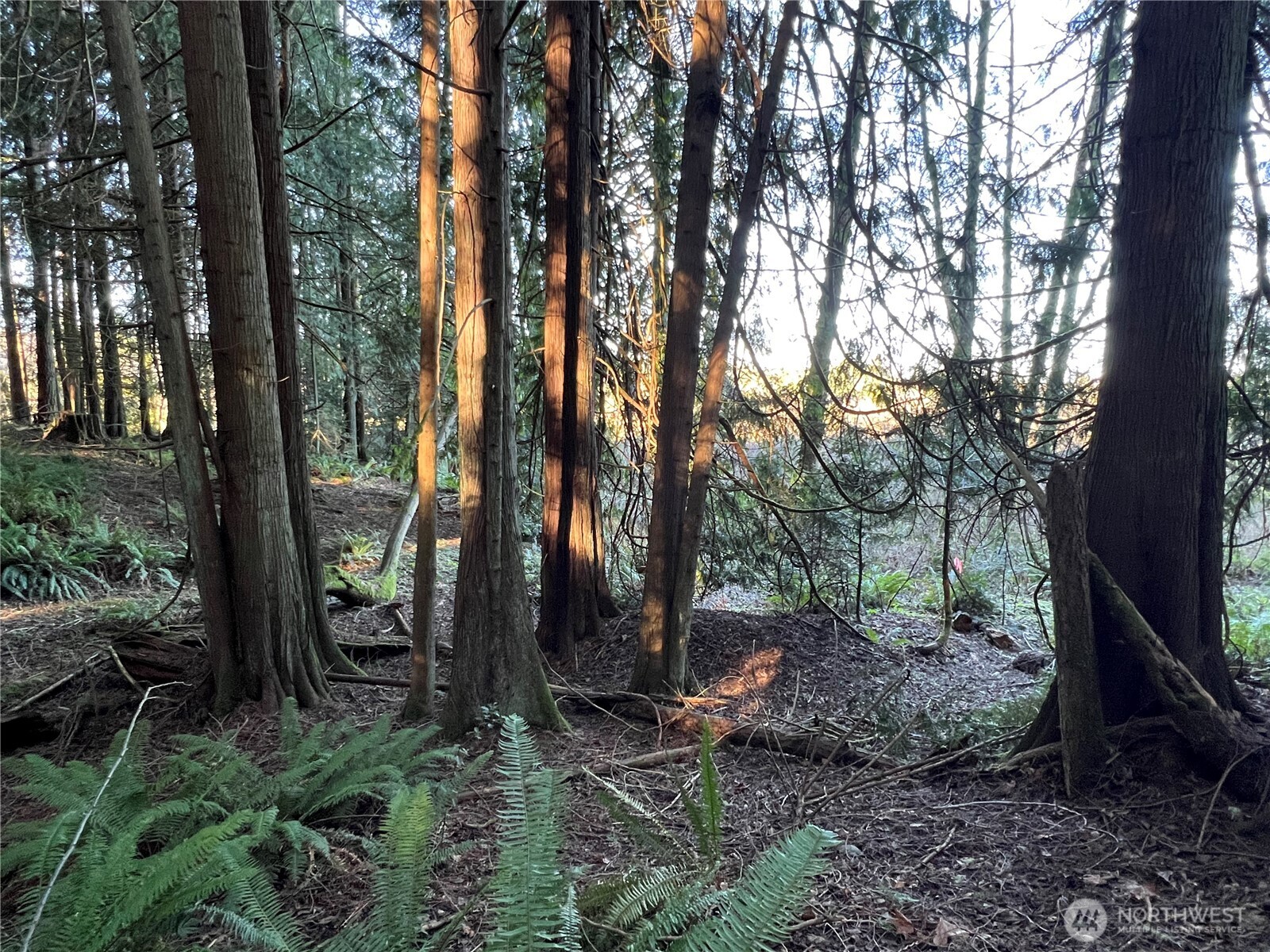 5662 Center Road , Chimacum, WA 98325