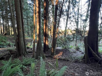 5662 Center Road , Chimacum, WA 98325 - Photo 13