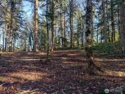 5662 Center Road , Chimacum, WA 98325 - Photo 14