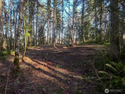 5662 Center Road , Chimacum, WA 98325 - Photo 16