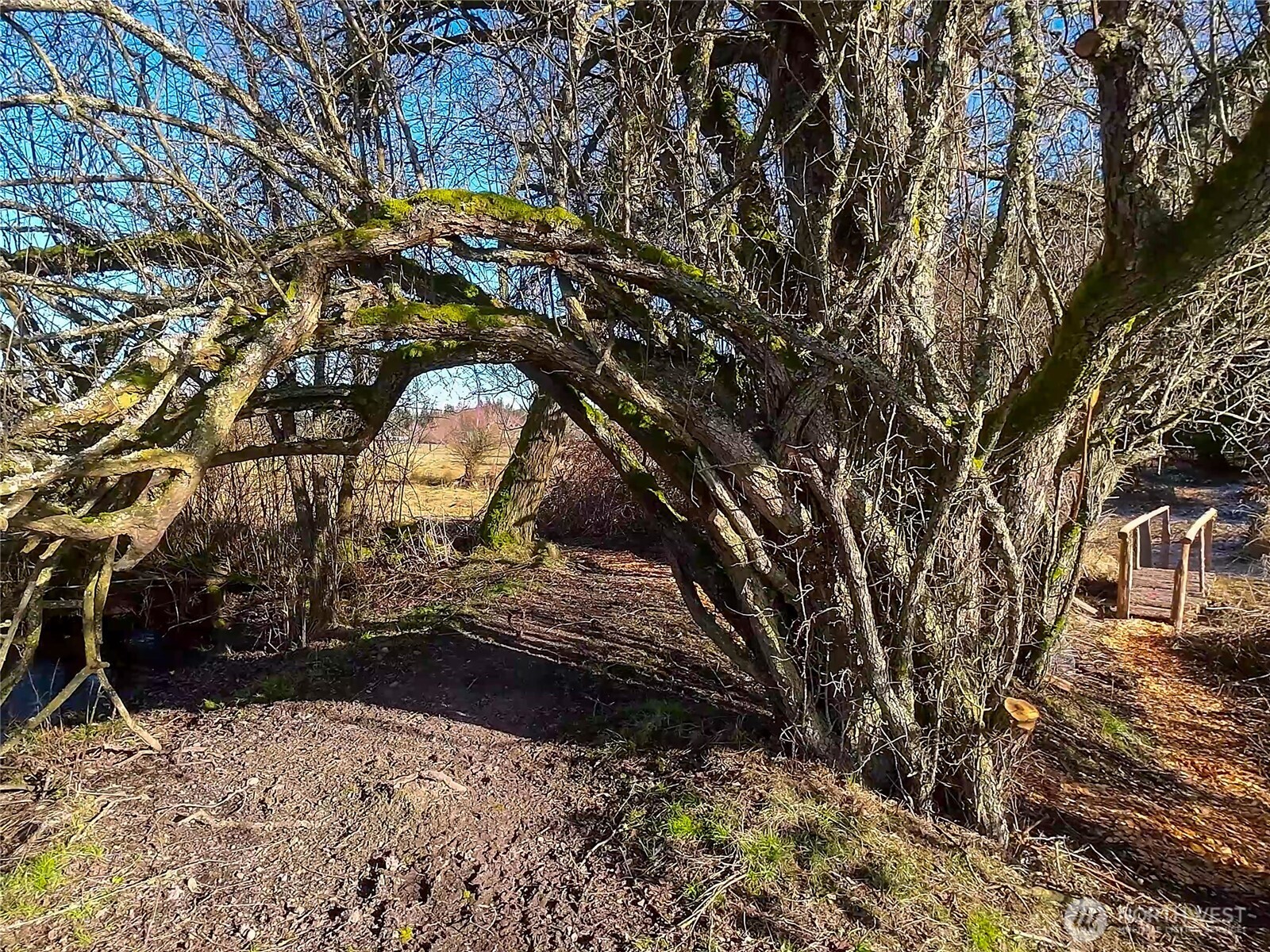 5662 Center Road , Chimacum, WA 98325