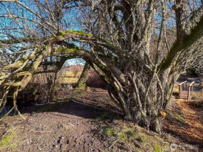 5662 Center Road , Chimacum, WA 98325 - Photo 19