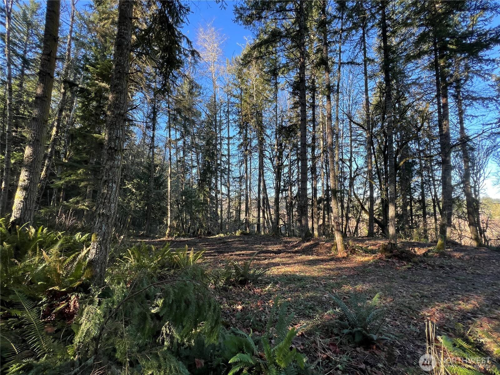 5662 Center Road , Chimacum, WA 98325