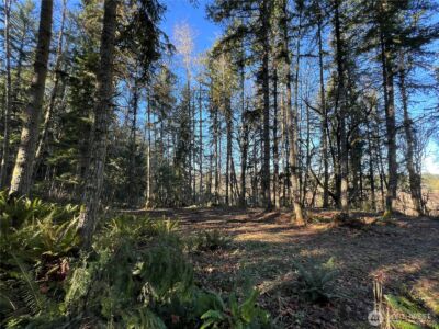 5662 Center Road , Chimacum, WA 98325 - Photo 21