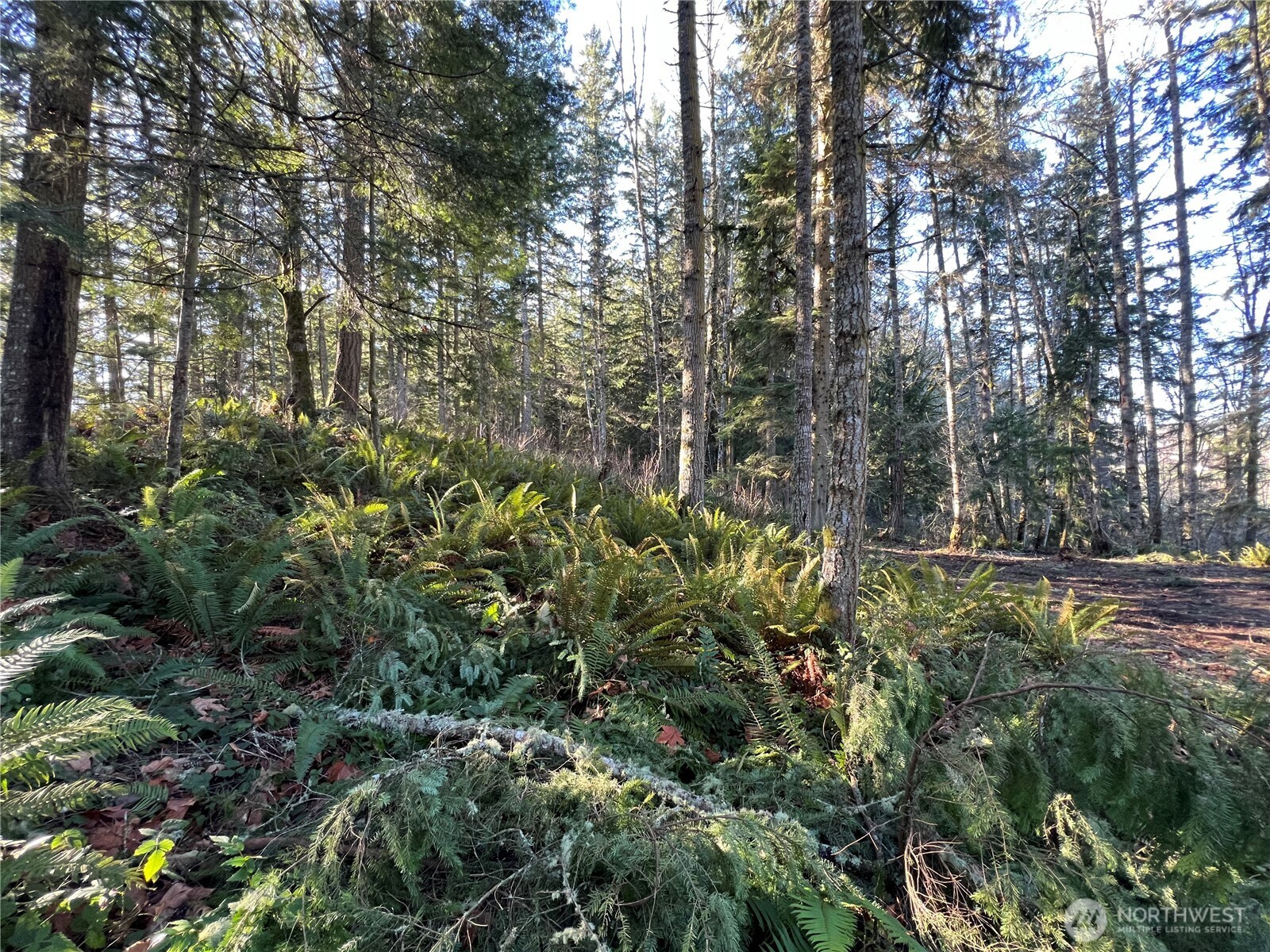 5662 Center Road , Chimacum, WA 98325