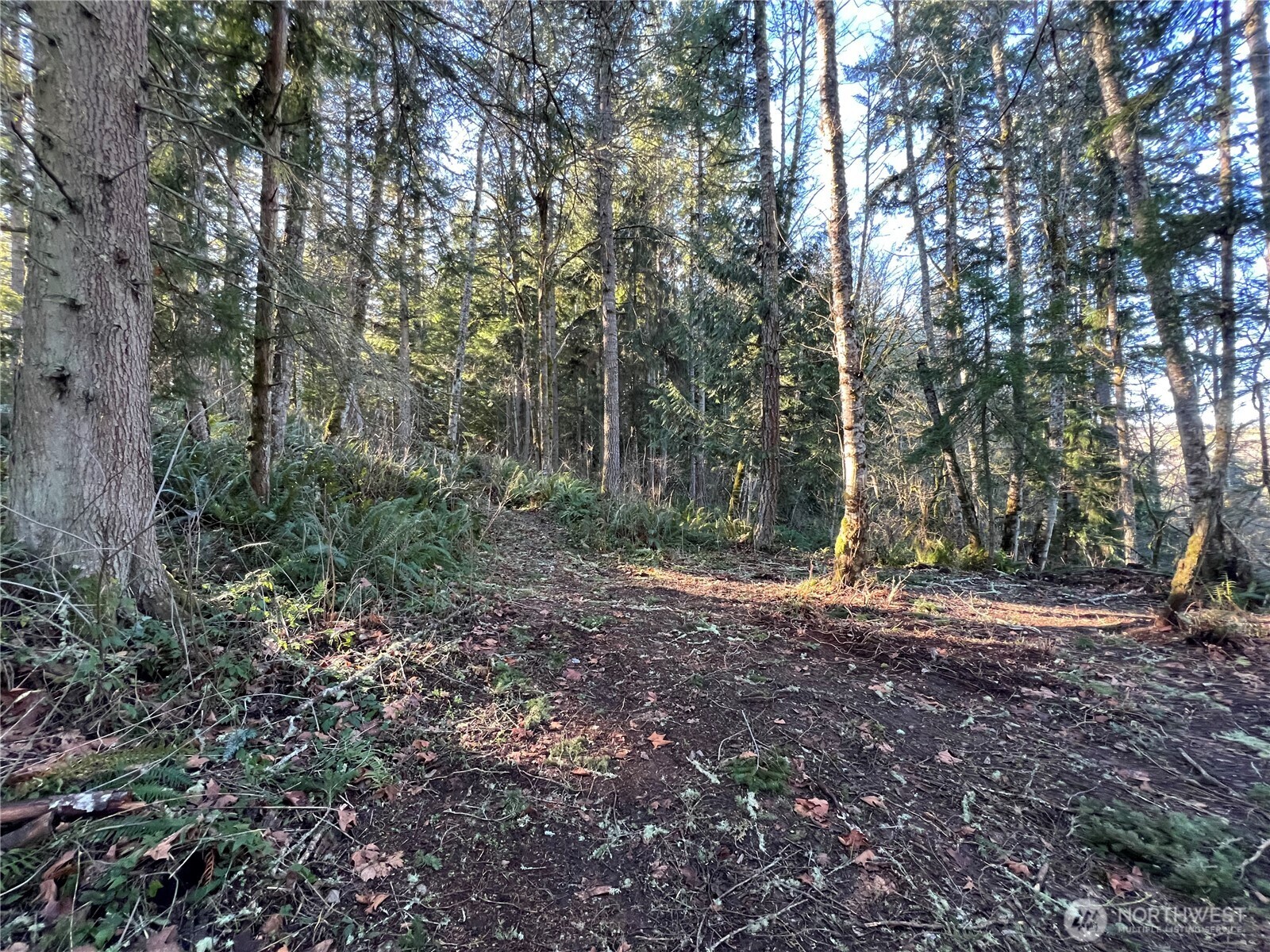 5662 Center Road , Chimacum, WA 98325