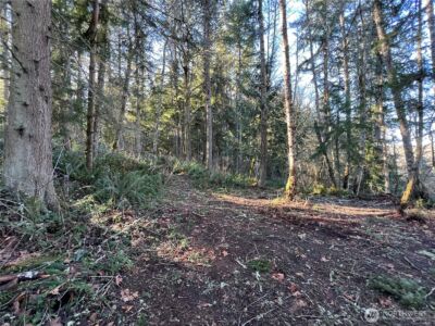 5662 Center Road , Chimacum, WA 98325 - Photo 23