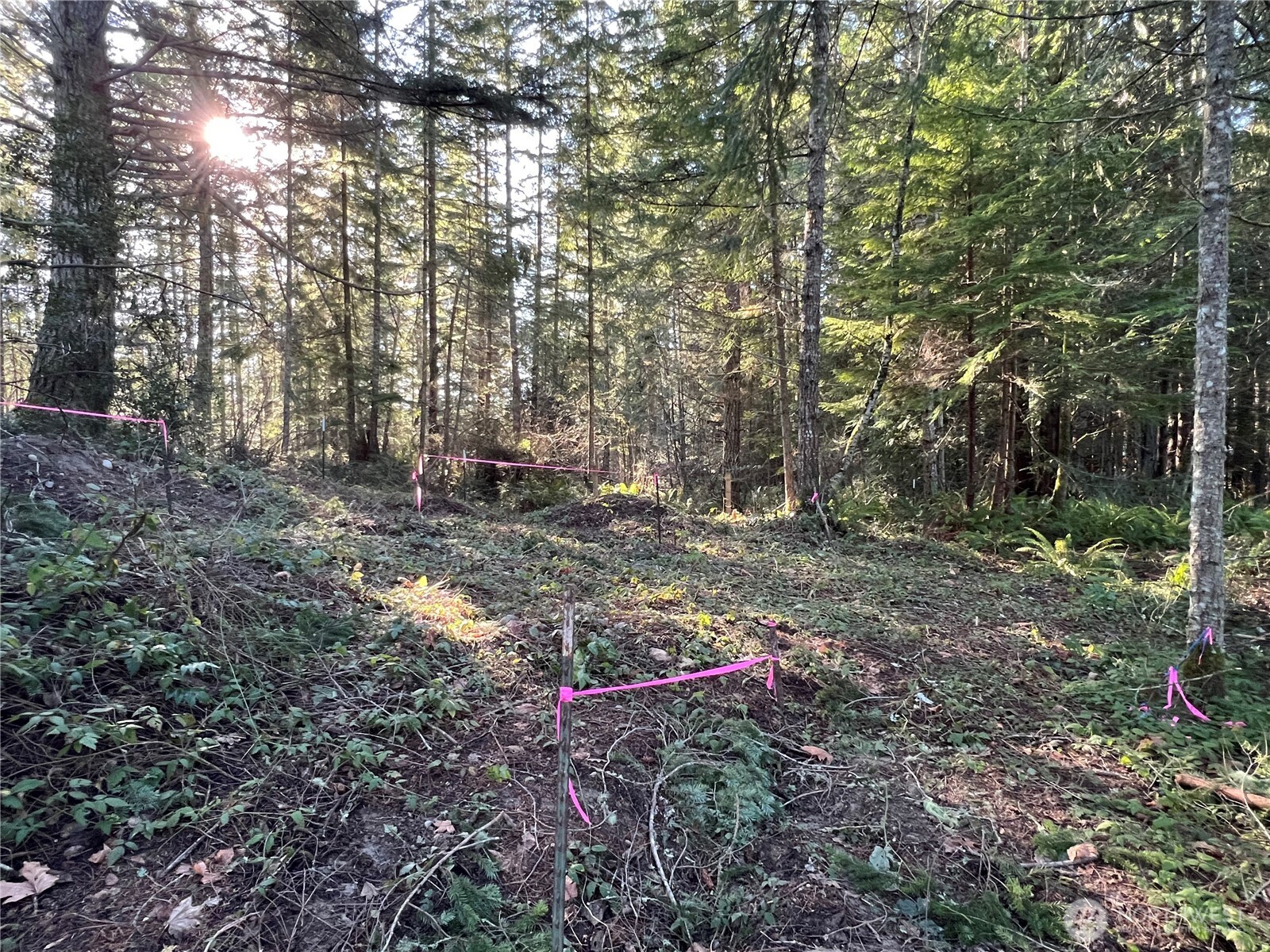 5662 Center Road , Chimacum, WA 98325