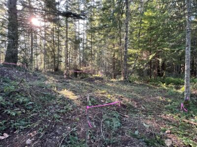 5662 Center Road , Chimacum, WA 98325 - Photo 24