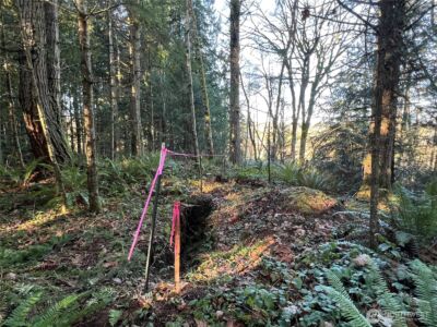 5662 Center Road , Chimacum, WA 98325 - Photo 25