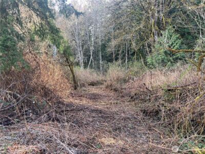 5662 Center Road , Chimacum, WA 98325 - Photo 26