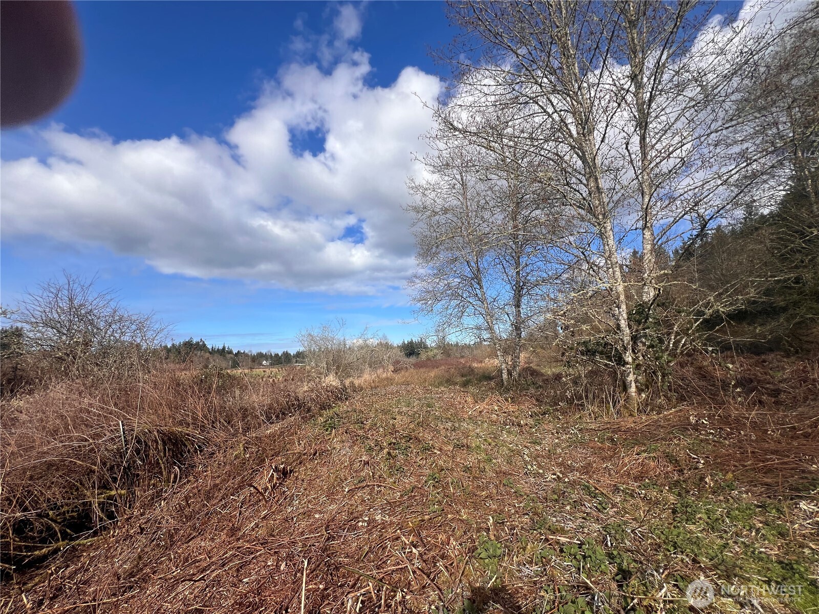 5662 Center Road , Chimacum, WA 98325