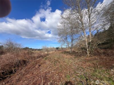 5662 Center Road , Chimacum, WA 98325 - Photo 27