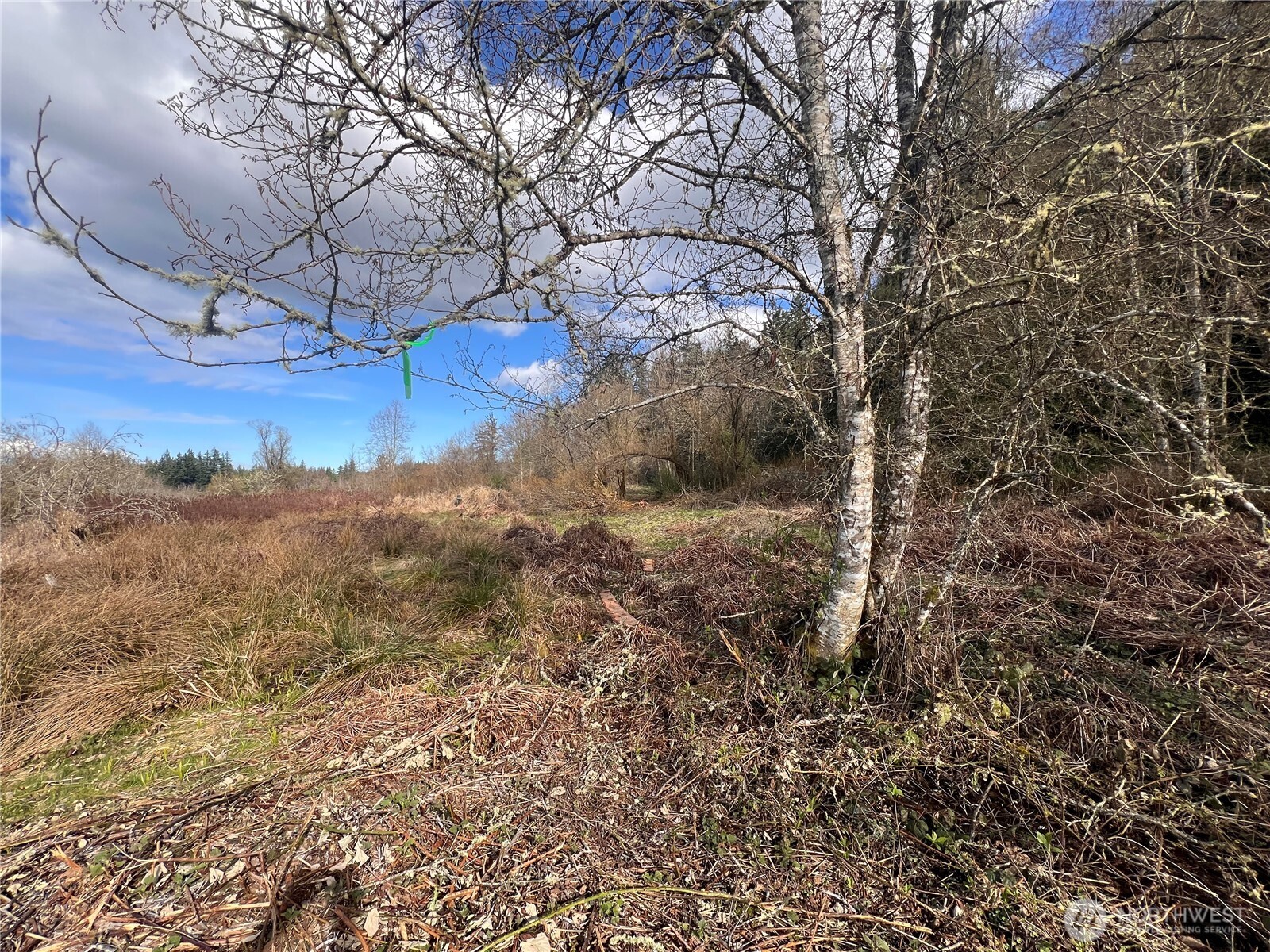 5662 Center Road , Chimacum, WA 98325