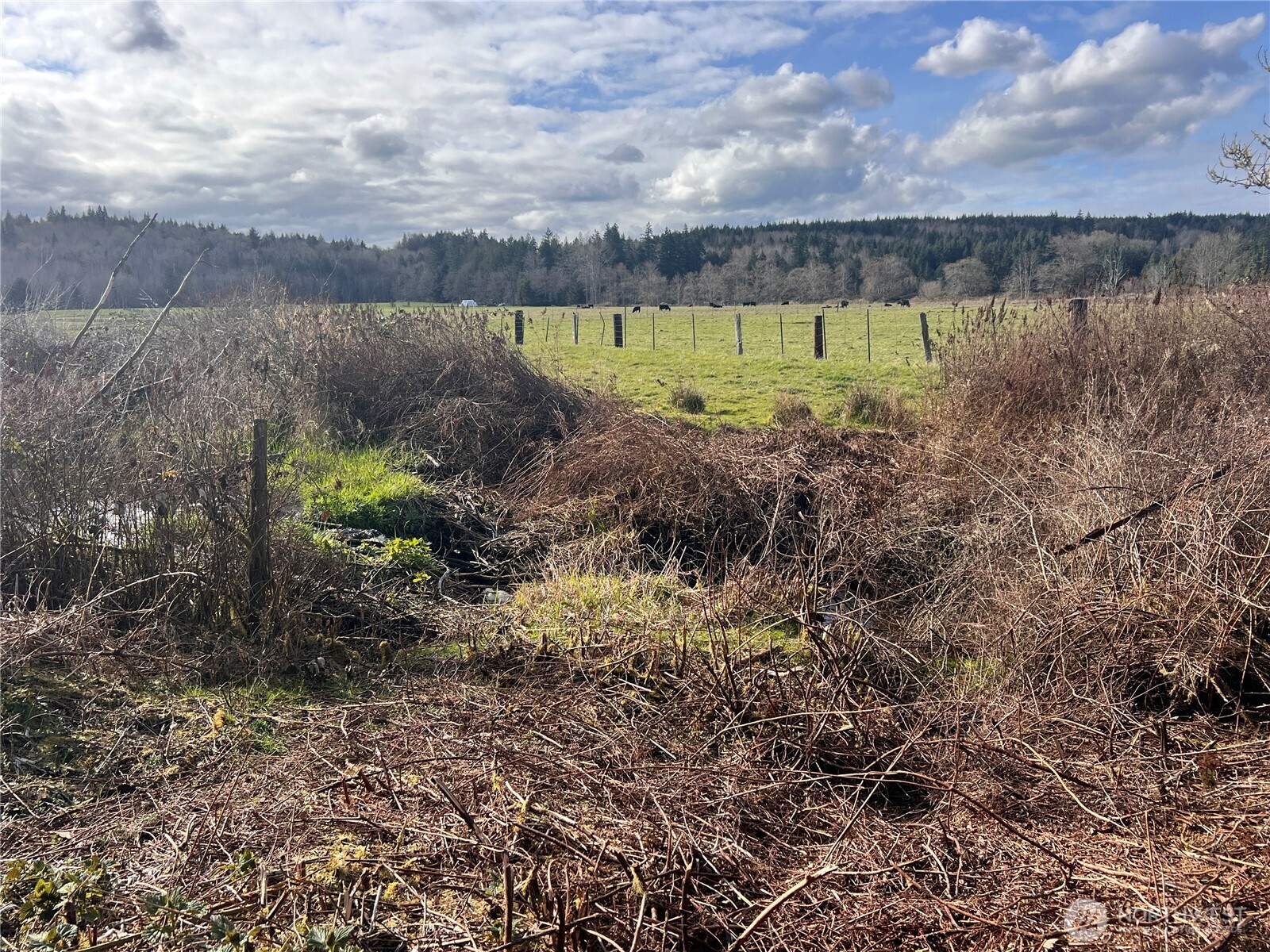 5662 Center Road , Chimacum, WA 98325