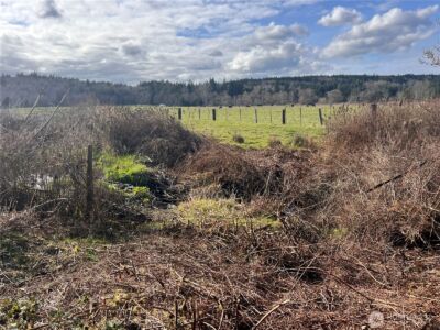 5662 Center Road , Chimacum, WA 98325 - Photo 29