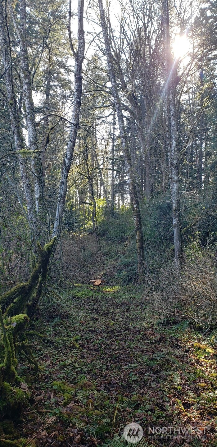 5662 Center Road , Chimacum, WA 98325