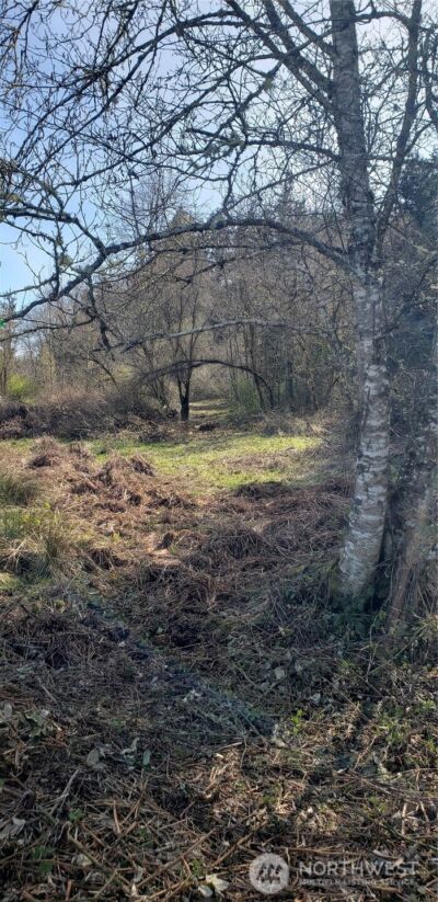 5662 Center Road , Chimacum, WA 98325 - Photo 31