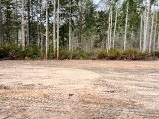 2908 205th Avenue SW, Lakebay, WA 98349 - Photo 5