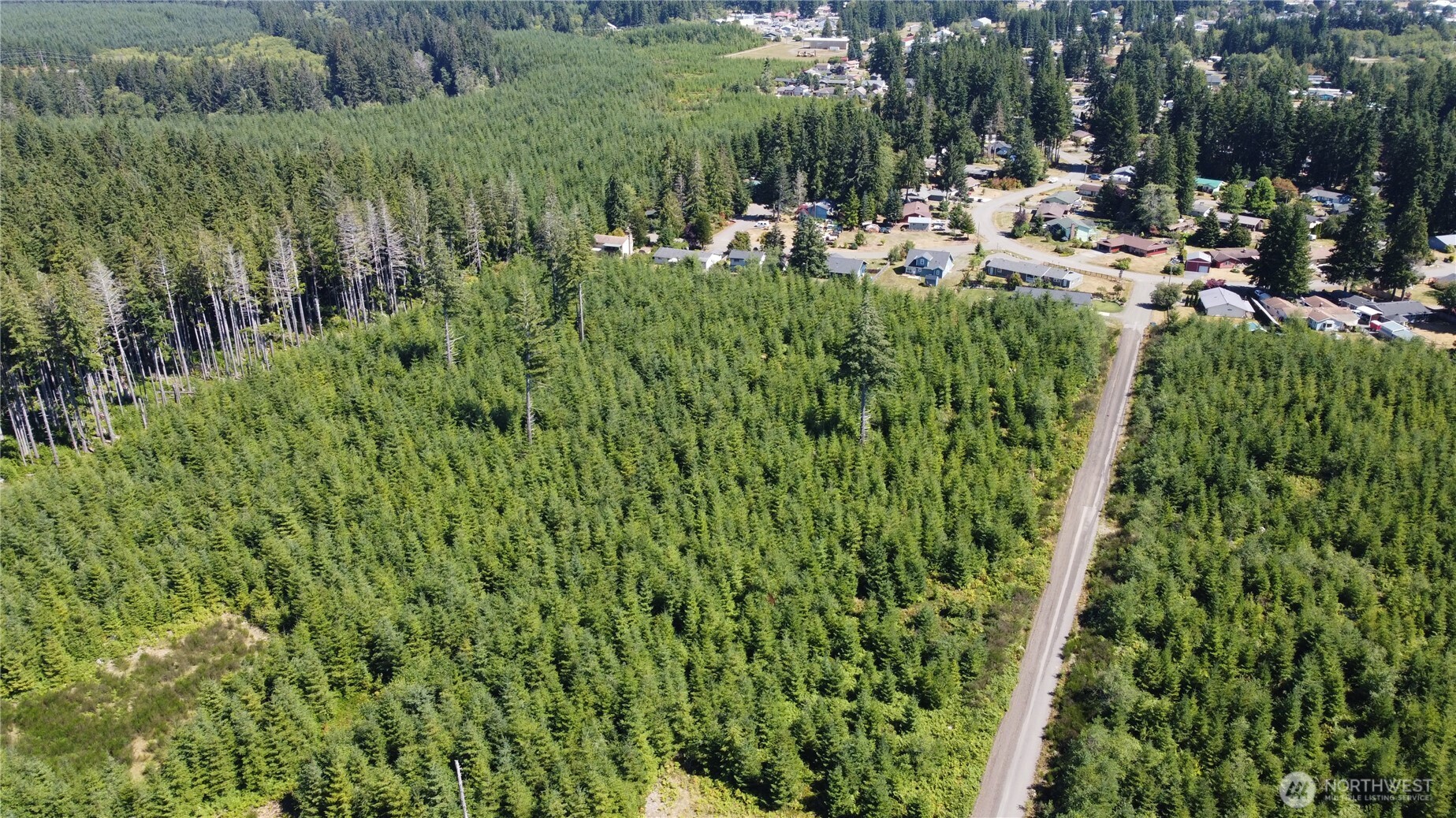 9999 Lot 8 King Johns Way , Forks, WA 98331