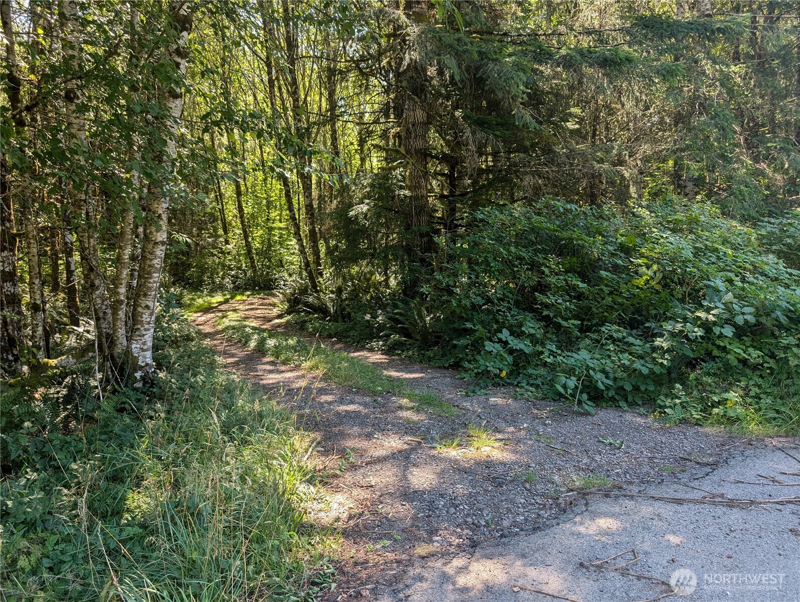 999 Hwy 101 Highway , Beaver, WA 98363