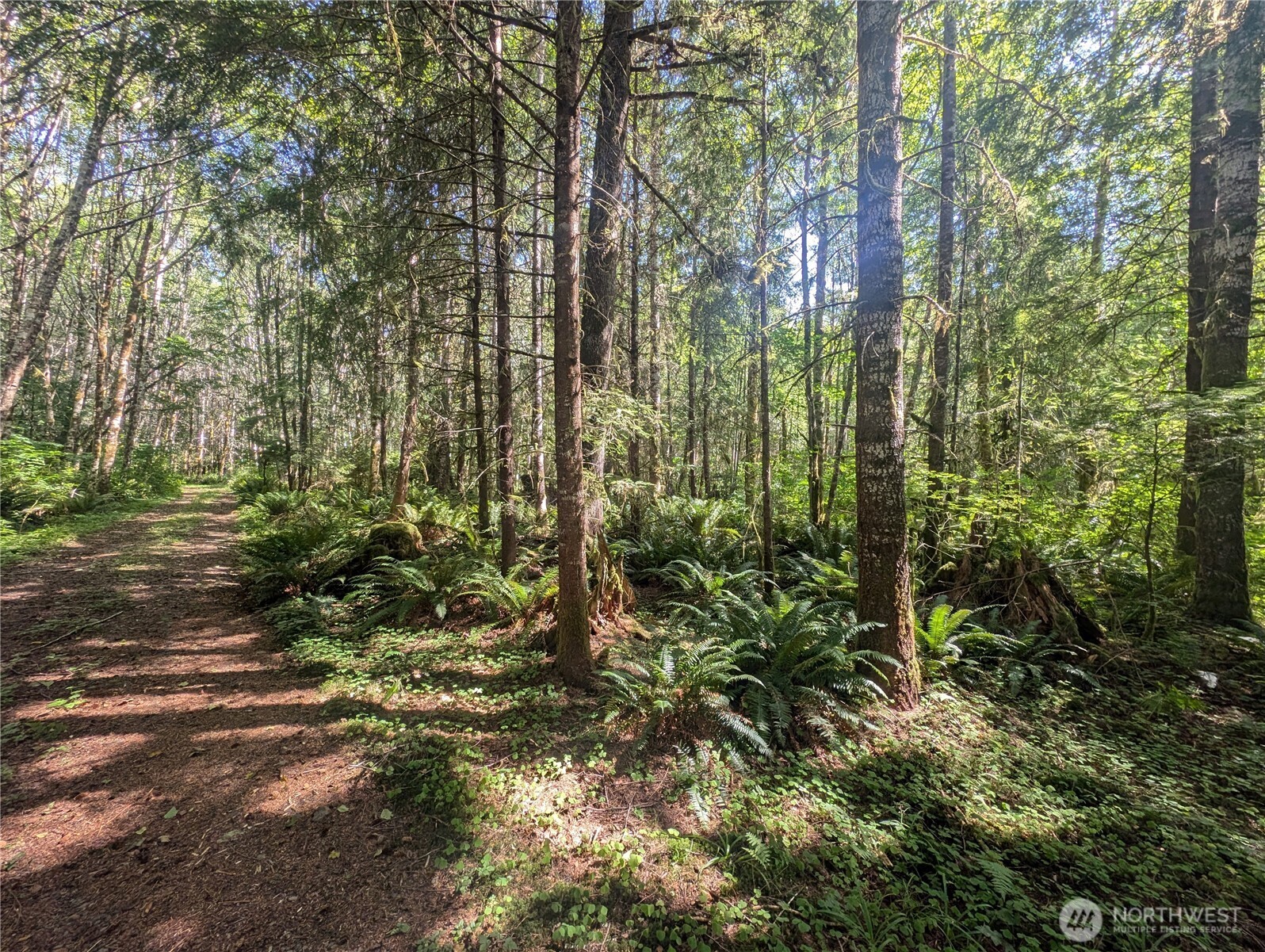 999 Hwy 101 Highway , Beaver, WA 98363