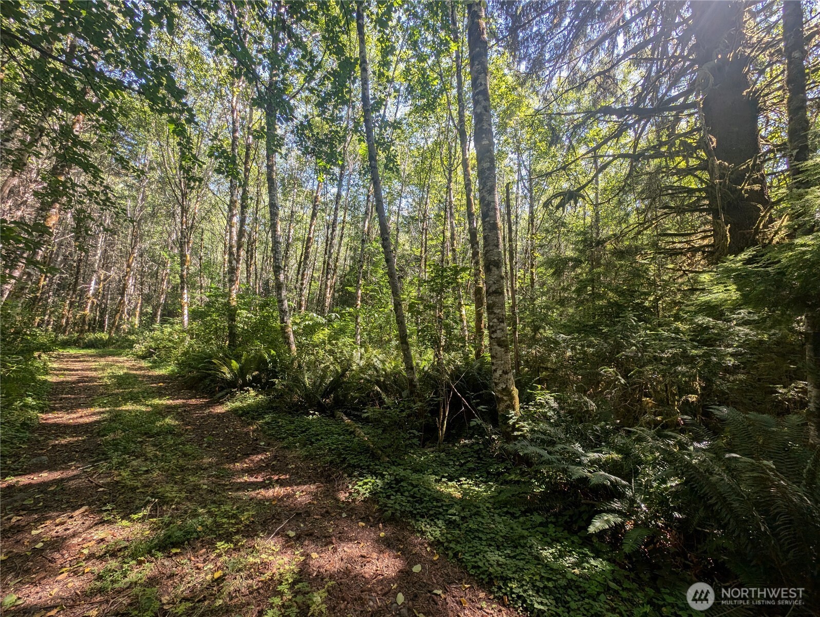 999 Hwy 101 Highway , Beaver, WA 98363