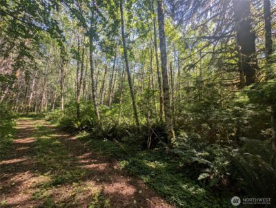 999 Hwy 101 Highway , Beaver, WA 98363 - Photo 11