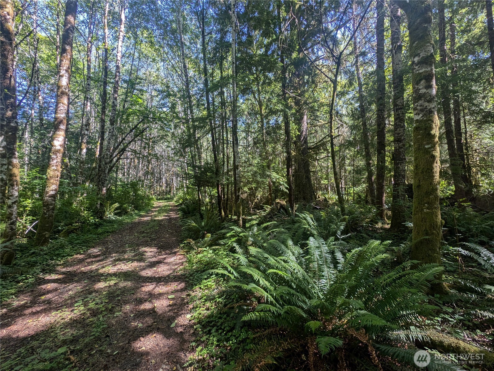 999 Hwy 101 Highway , Beaver, WA 98363