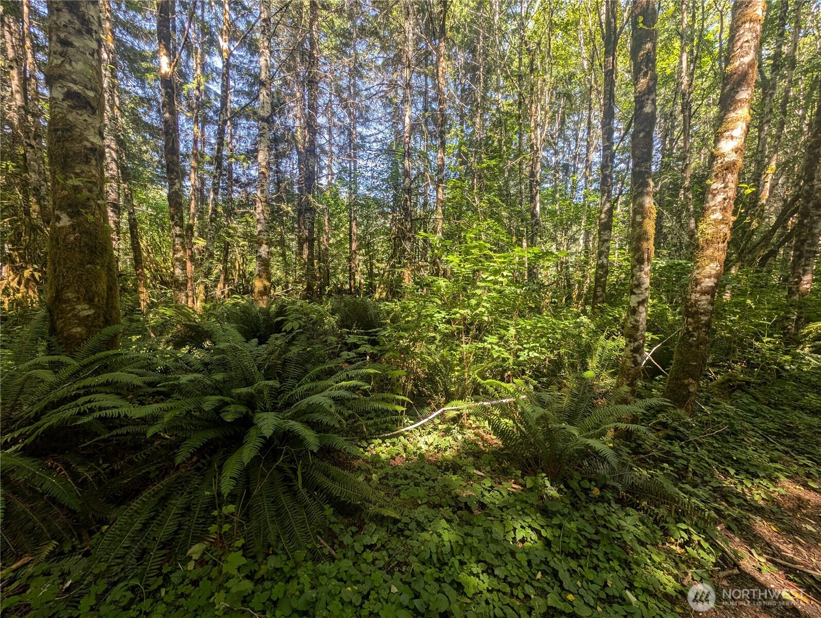 999 Hwy 101 Highway , Beaver, WA 98363
