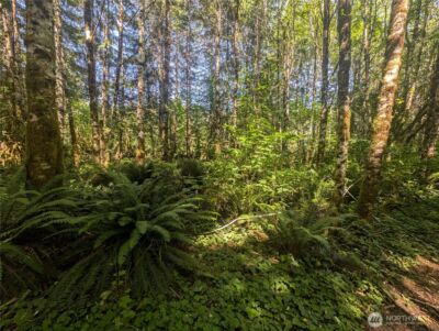 999 Hwy 101 Highway , Beaver, WA 98363 - Photo 13