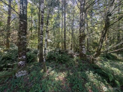 999 Hwy 101 Highway , Beaver, WA 98363 - Photo 14