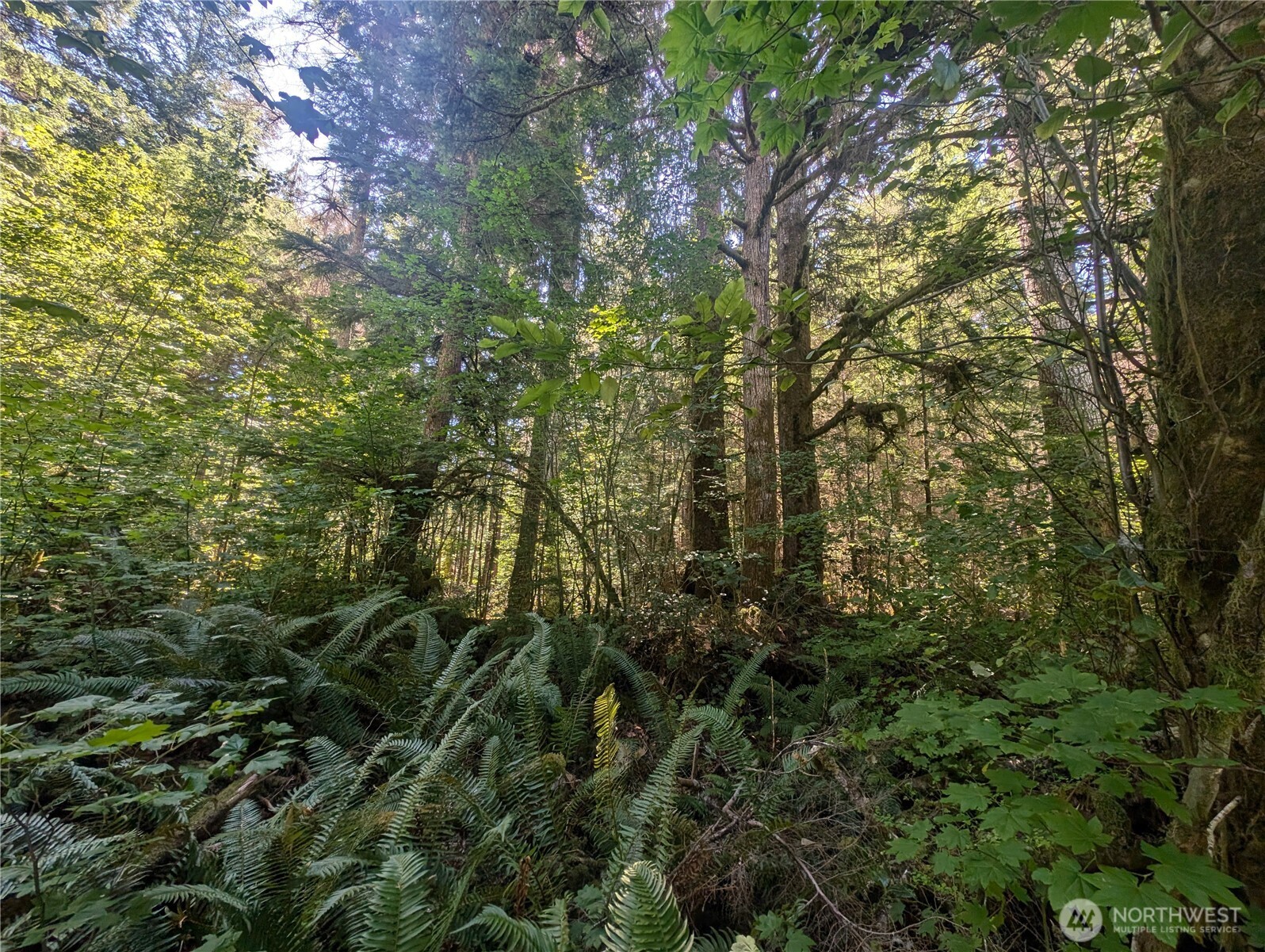 999 Hwy 101 Highway , Beaver, WA 98363