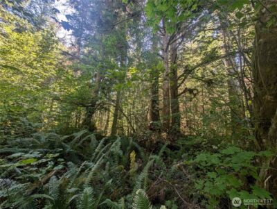 999 Hwy 101 Highway , Beaver, WA 98363 - Photo 15