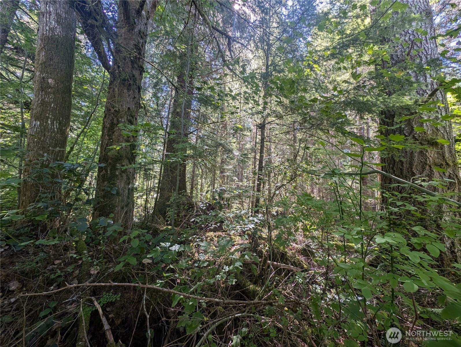 999 Hwy 101 Highway , Beaver, WA 98363