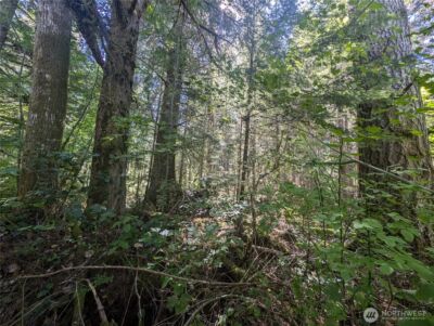 999 Hwy 101 Highway , Beaver, WA 98363 - Photo 16