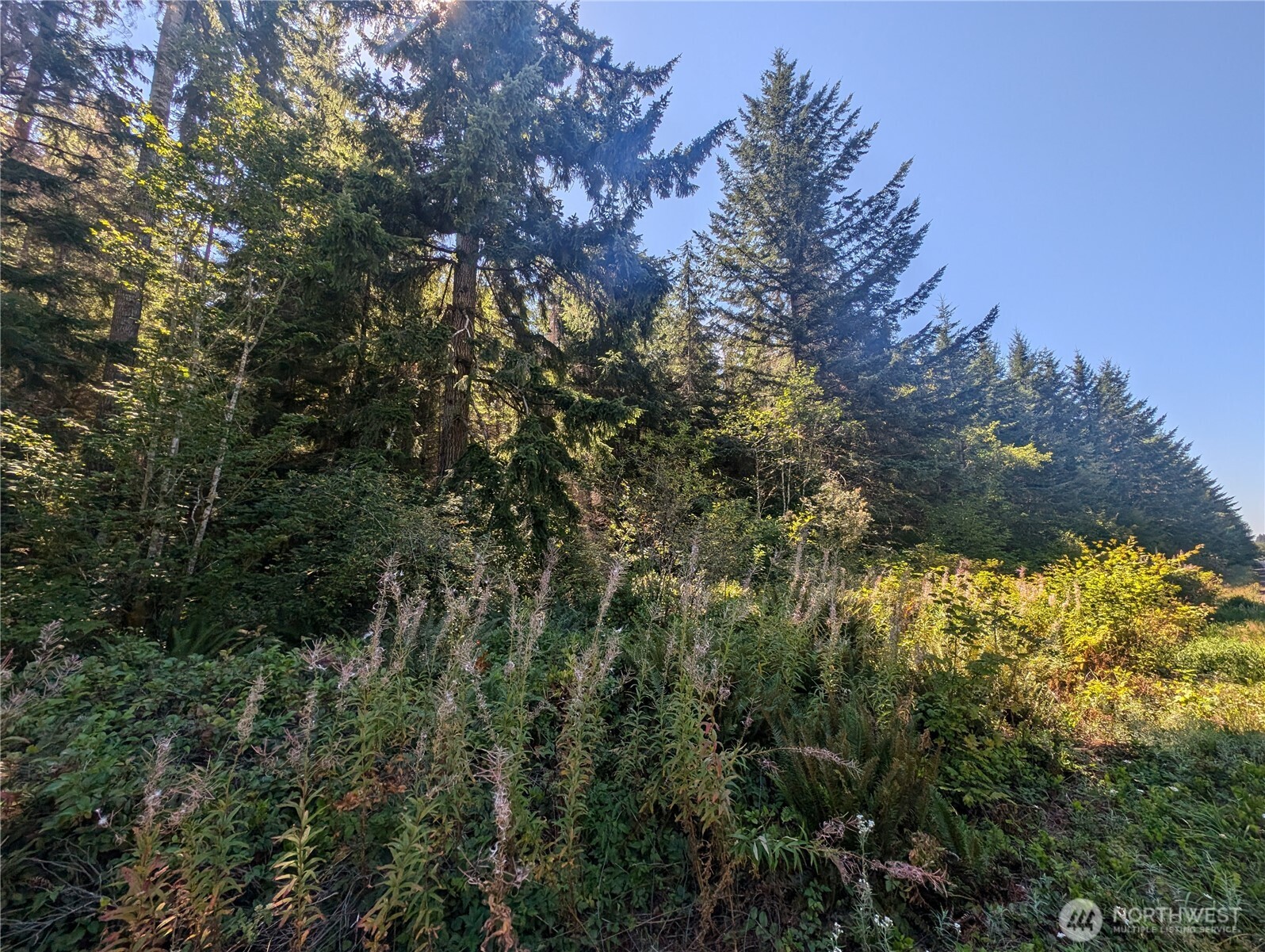 999 Hwy 101 Highway , Beaver, WA 98363