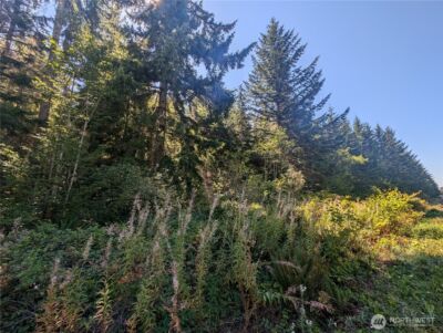 999 Hwy 101 Highway , Beaver, WA 98363 - Photo 19