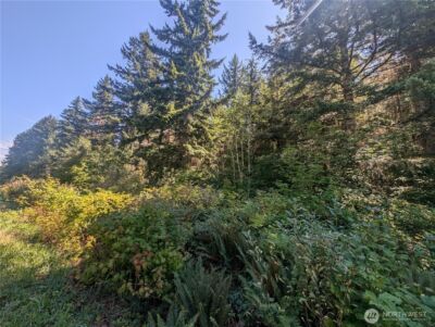 999 Hwy 101 Highway , Beaver, WA 98363 - Photo 20