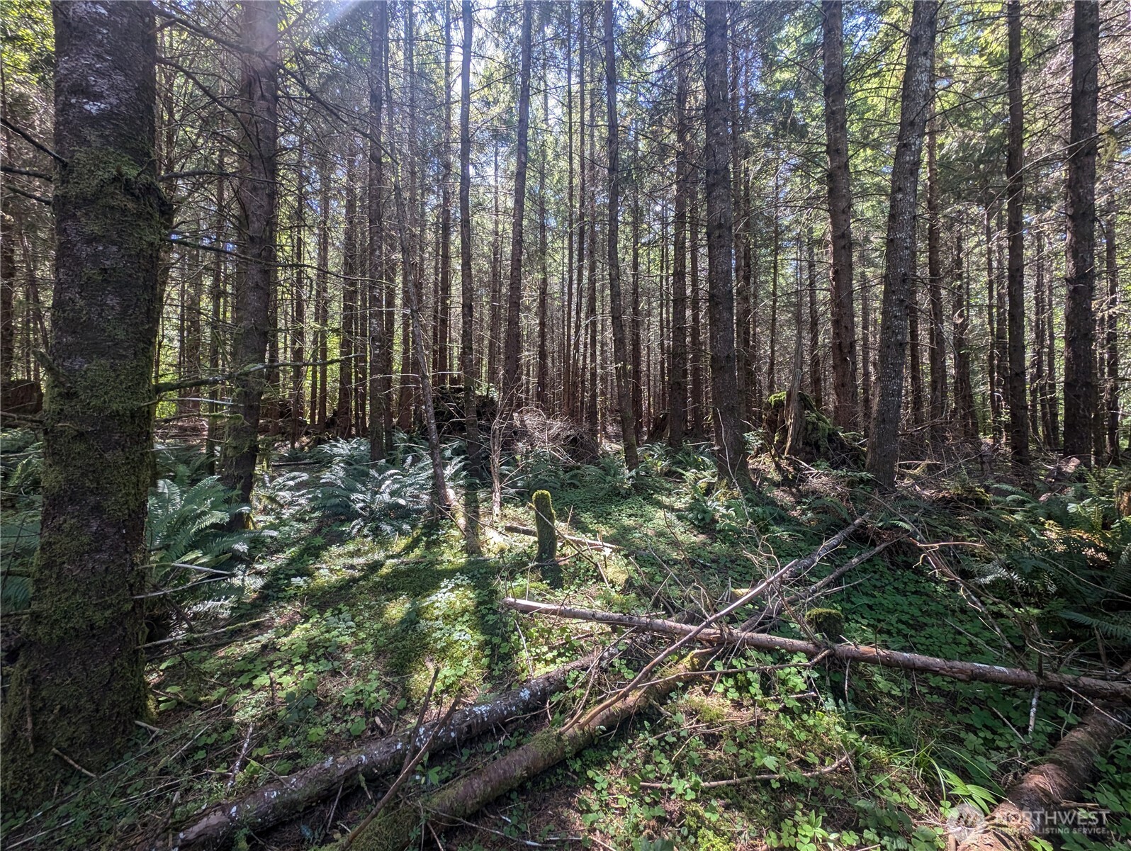 999 Hwy 101 Highway , Beaver, WA 98363